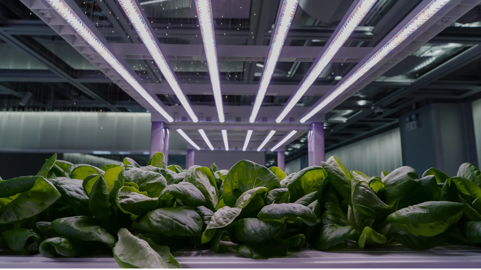 AKAR Farm modular greenhouse