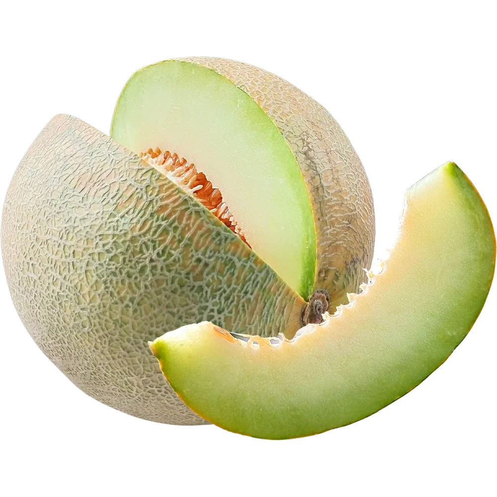 Honeydew melon