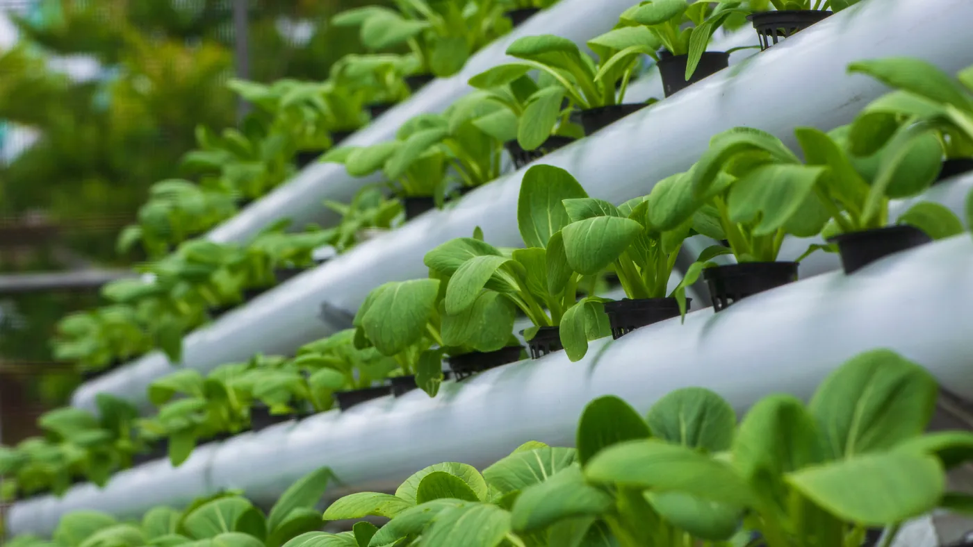 Sustainability at AKAR Farm