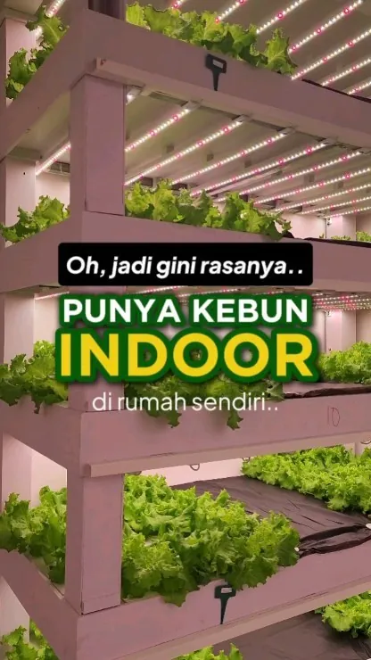 AKAR Farm Instagram video
