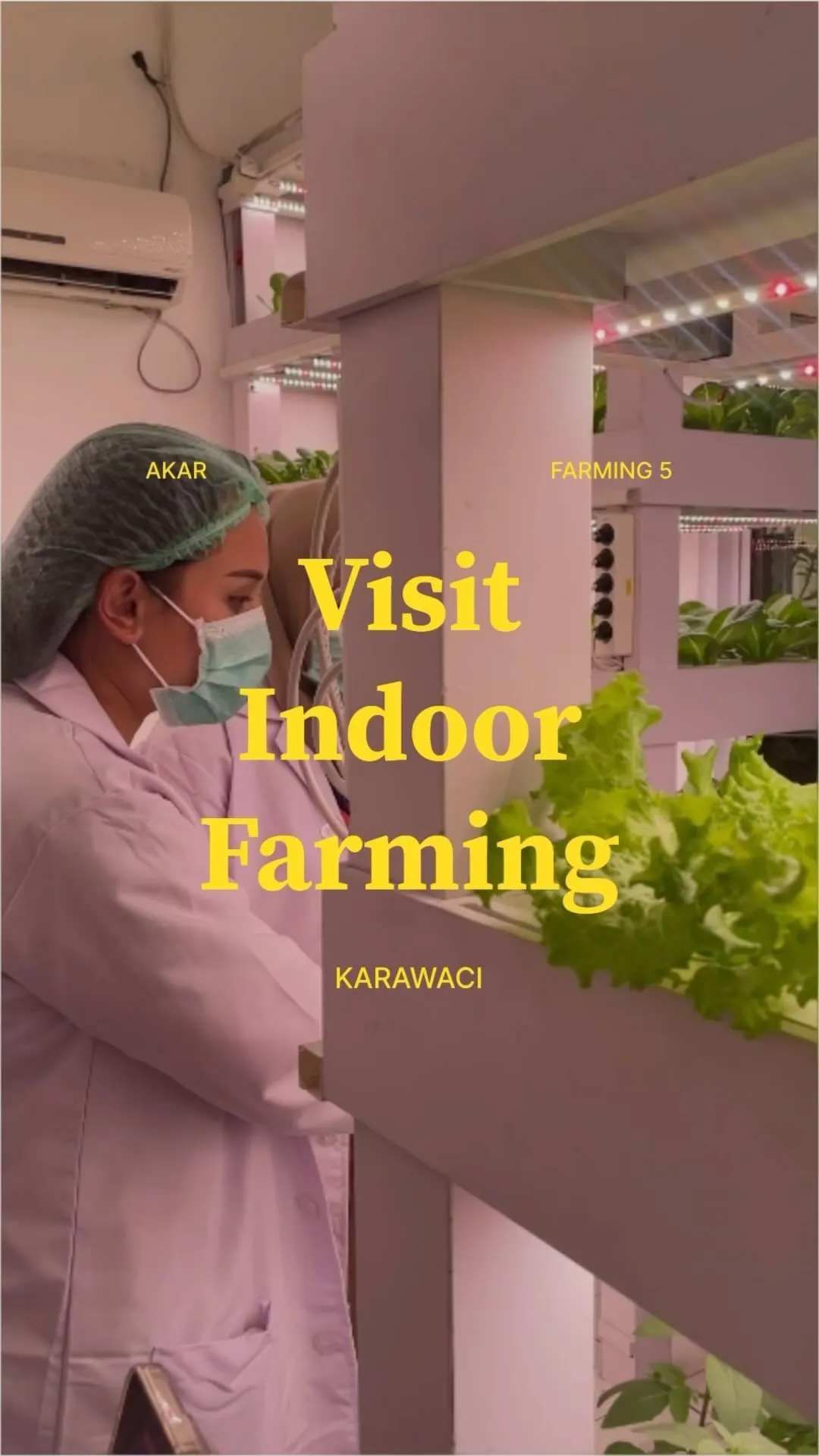 AKAR Farm Instagram video