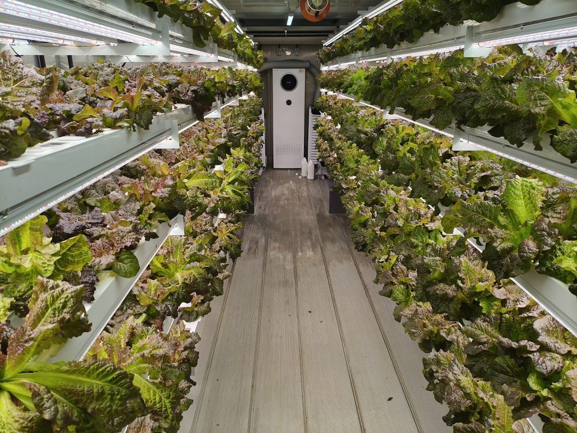 Interior aisle with multi-tier hydroponic racks in the IPB plant factory