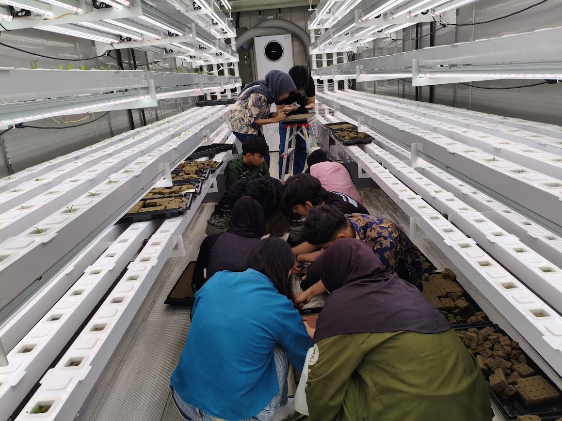 Hands-on planting and transplanting in the hydroponic system
