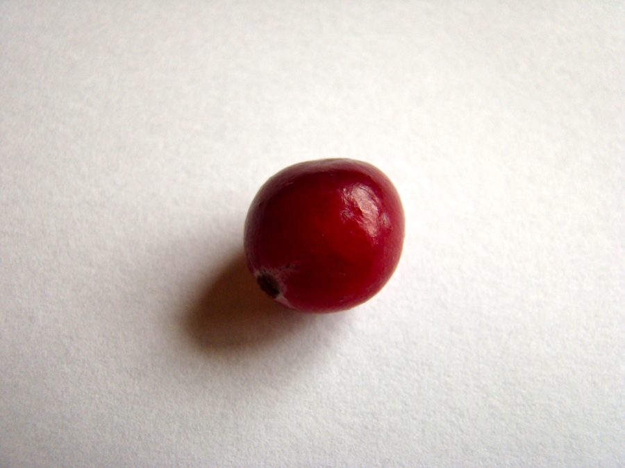 Cranberry